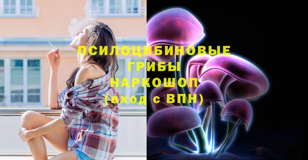 apvp Алексин