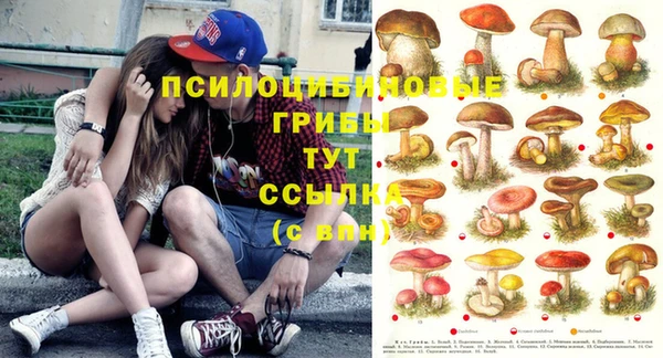 герыч Алзамай