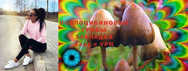 apvp Алексин