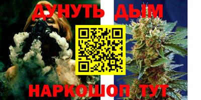 гидра Аргун