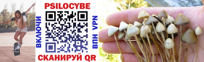 мега маркетплейс  закладка  Осинники  Галлюциногенные грибы Magic Shrooms 