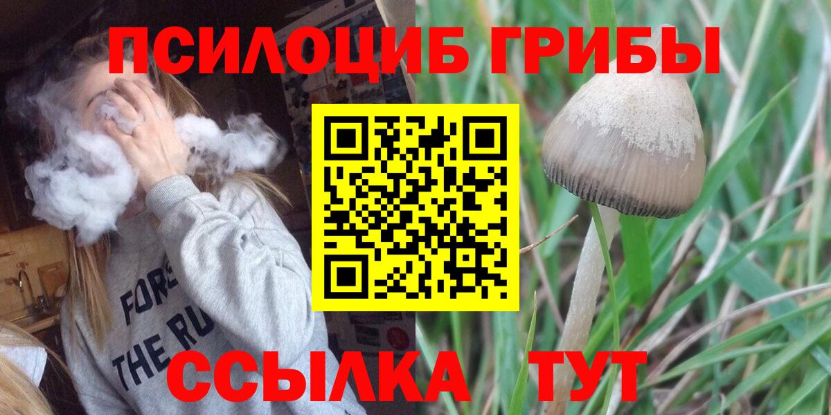 Галлюциногенные грибы мухоморы  Галлюциногенные грибы Psilocybe  Осинники  Вход с VPN 