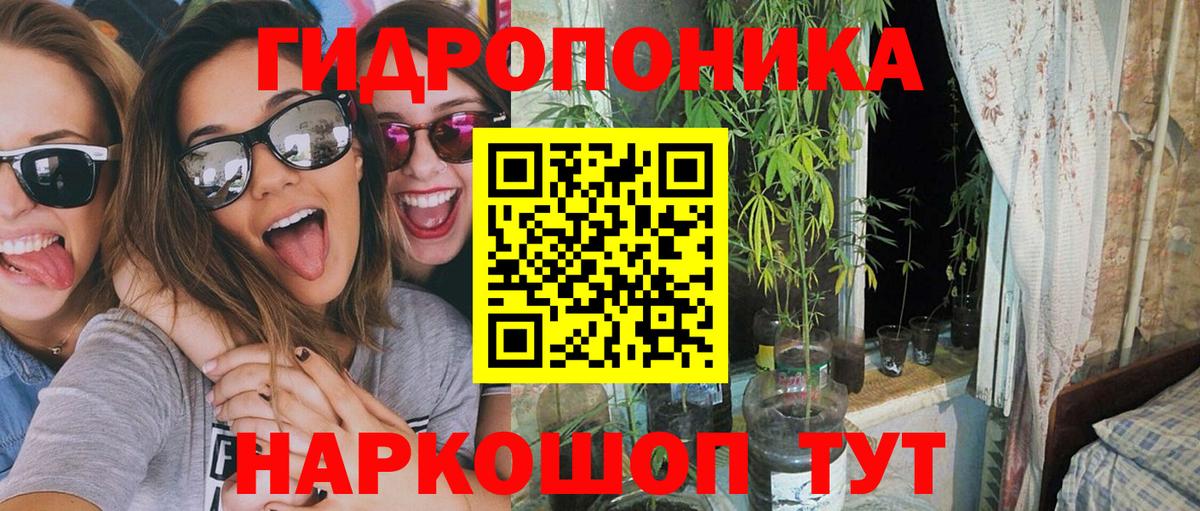 Шишки марихуана AK-47  Вход с VPN  Осинники  Шишки марихуана планчик  Каннабис OG Kush  Каннабис план 